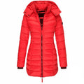Women's Winter Jacket – Padded – Mid-Length – Detachable Hood – Tailored Fit
