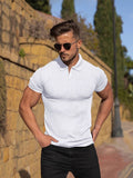 Men's Polo Shirt - Ribbed Knit - Slim Fit - Short-Sleeved - Stylish & Comfortable