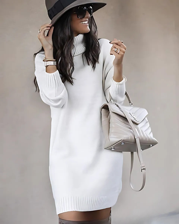 Knit Wool Blend Turtleneck Mini Dress
