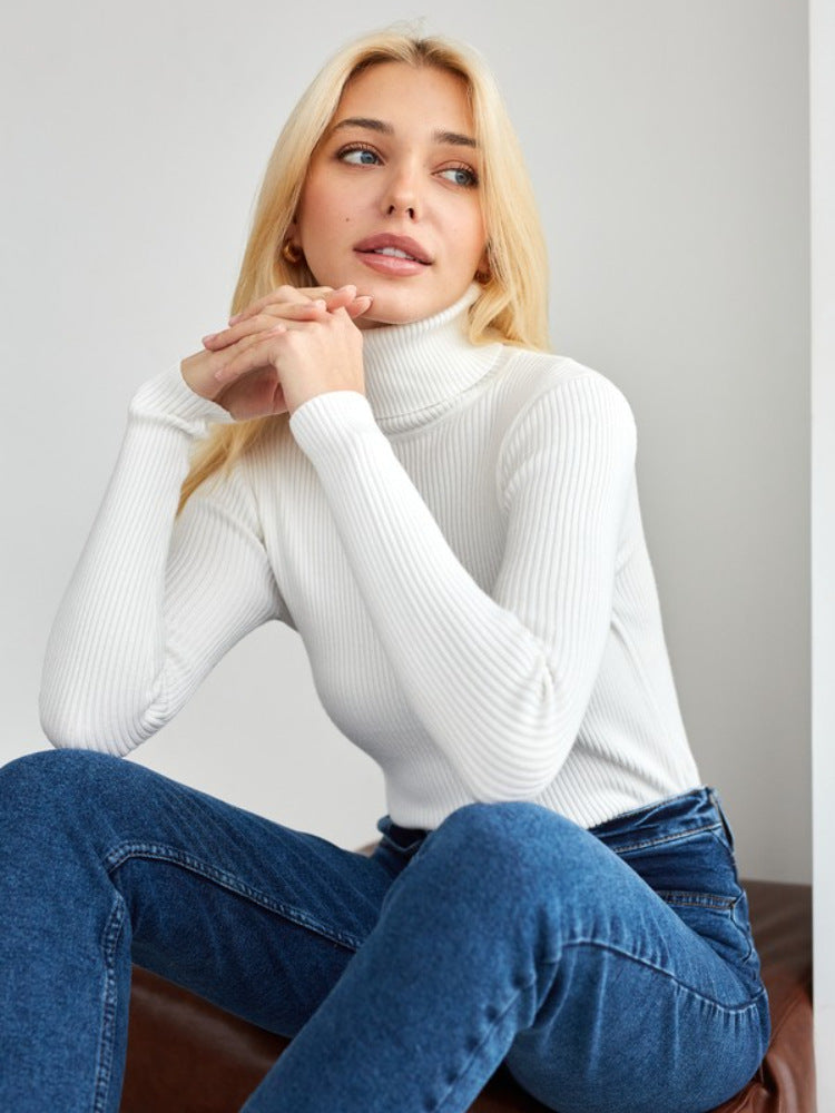 Stretchy Ribbed Knit Turtleneck Pullover Top