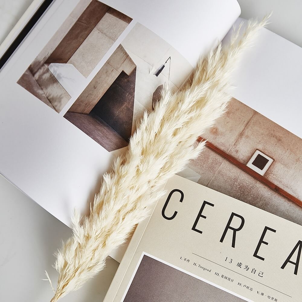 Glass Bottle Dried Pampas Bouquet Vase